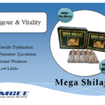 Mega Shilajit Capsule
